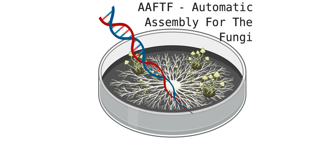 Automated Assembly For The Fungi (AAFTF)