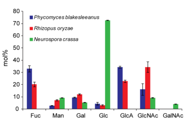 Figure 1 of paper showing Fungal Cell wall compositions