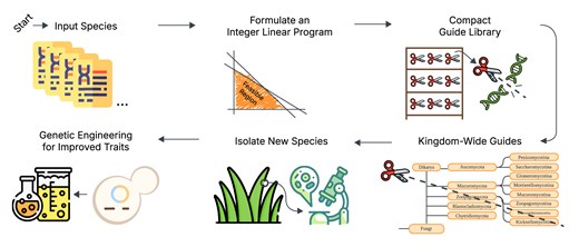 Kingdom-wide CRISPR guide design with ALLEGRO.
