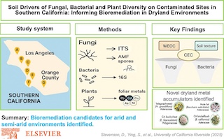 Soil drivers of fungal, bacterial and plant diversity in contaminated Southern Californian sites: Implications for dryland bioremediation.