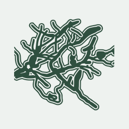 Absolute abundance unveils i Basidiobolus i as a cross-domain bridge indirectly bolstering gut microbiome homeostasis
