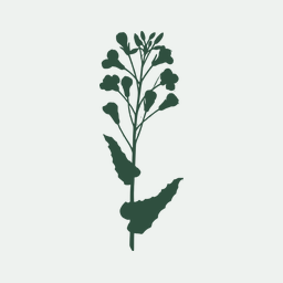 BASC: an integrated bioinformatics system for Brassica research.