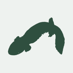 Effects of environmental setting and diet on the gut microbial ecology of eastern hellbenders Cryptobranchus alleganiensis alleganiensis .