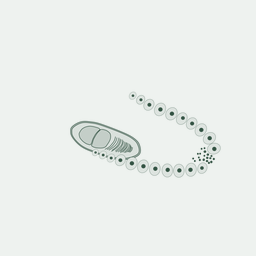Shared signatures of parasitism and phylogenomics unite Cryptomycota and microsporidia.