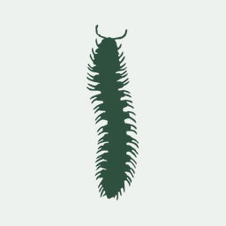 Diversity and function of fungi associated with the fungivorous millipede, i Brachycybe lecontii i