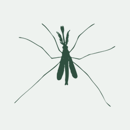 Genomes and transcriptomes help unravel the complex life cycle of the blastoclad fungus, i Coelomomyces lativittatus i , an obligate parasite of mosquitoes and microcrustaceans.