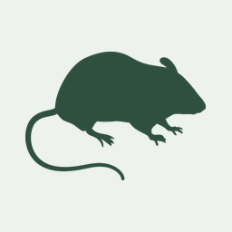 The evolution of mammalian gene families.