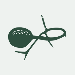Phylogenomic analysis of the Neocallimastigomycota 58; proposal of i Caecomycetaceae i fam. nov., i Piromycetaceae i fam. nov., and emended description of the families Neocallimastigaceae and Anaeromycetaceae