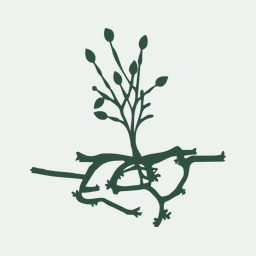 High-Quality Reference Genome Sequence for the Oomycete Vegetable Pathogen Phytophthora capsici Strain LT1534.
