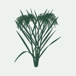 Genomic diversity generated by a transposable element burst in a rice recombinant inbred population.