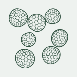 Insights from the genome of the biotrophic fungal plant pathogen Ustilago maydis.
