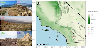Increased aridity is associated with diversity and composition changes in the biocrust mycobiome