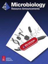 Best Practices for Successfully Writing and Publishing a Genome Announcement in <i>Microbiology Resource Announcements</i>