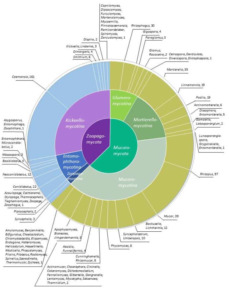 Sequencing the Genomes of the First Terrestrial Fungal Lineages: What Have We Learned