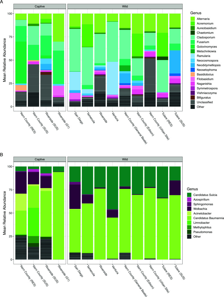 Geographical survey of the mycobiome and microbiome of Southern California glassy-winged sharpshooters.