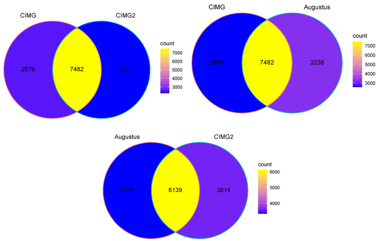 Evaluation of Different Gene Prediction Tools in Coccidioides immitis