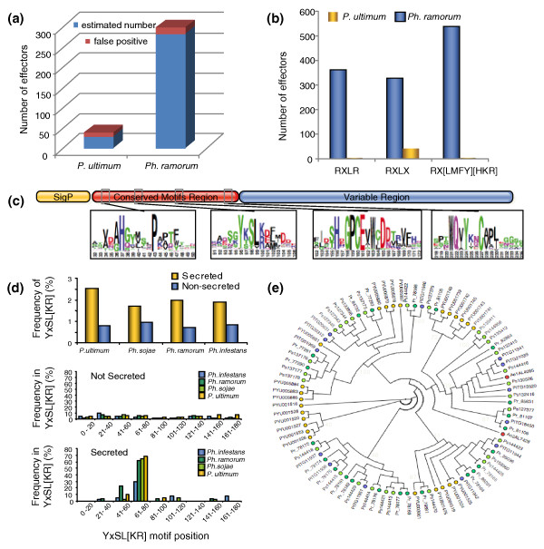 Genome sequence of the necrotrophic plant pathogen Pythium ultimum reveals original pathogenicity mechanisms and effector repertoire.