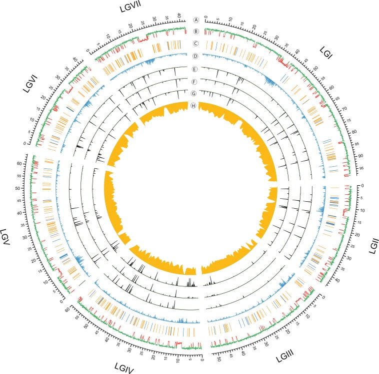 Endogenous Small RNA Mediates Meiotic Silencing of a Novel DNA Transposon.