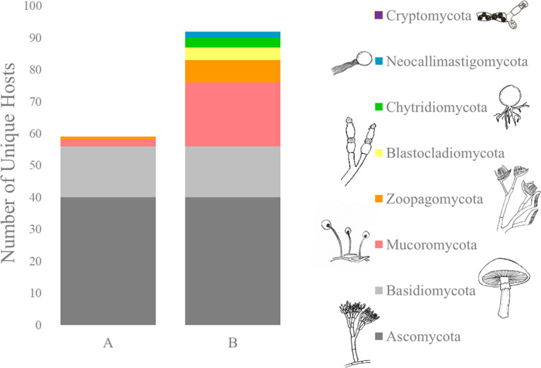 Survey of Early-Diverging Lineages of Fungi Reveals Abundant and Diverse Mycoviruses.