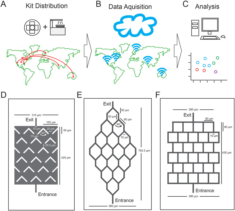 Crowdsourced analysis of fungal growth and branching on microfluidic platforms